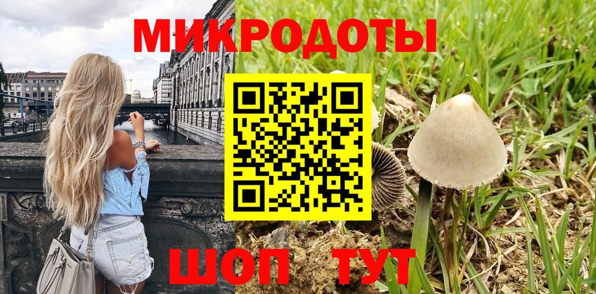 Псилоцибиновые грибы Psilocybe Дятьково